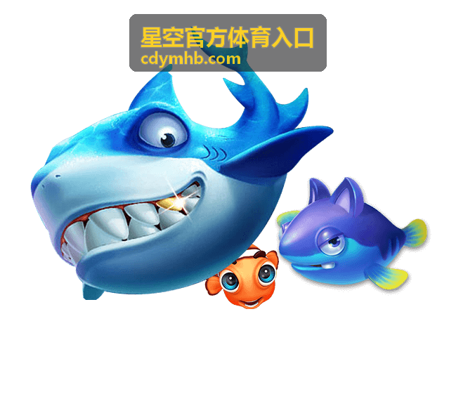 星空官方体育入口网页端主入口卡片封面